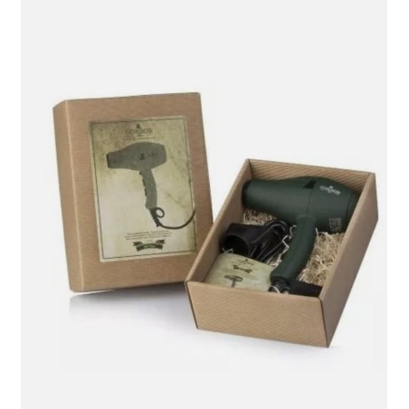 GORDON asciugacapelli professionale 2000W